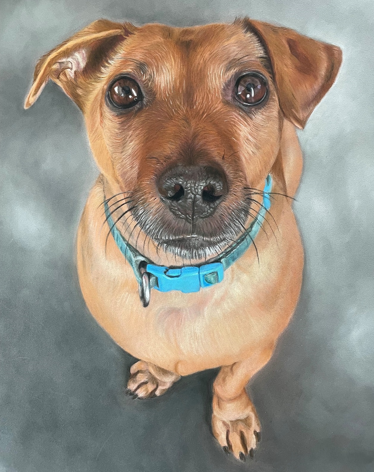 Jack Russell